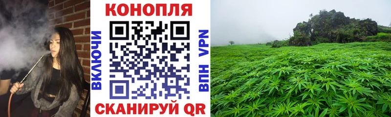 Конопля ГИДРОПОН  Семилуки 